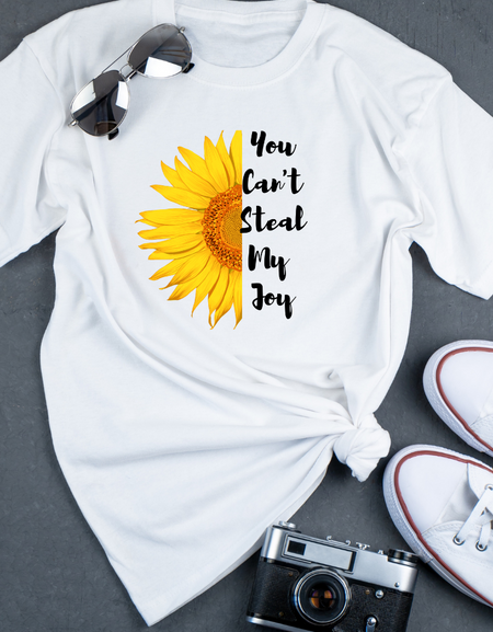 You Can't Steal My Joy