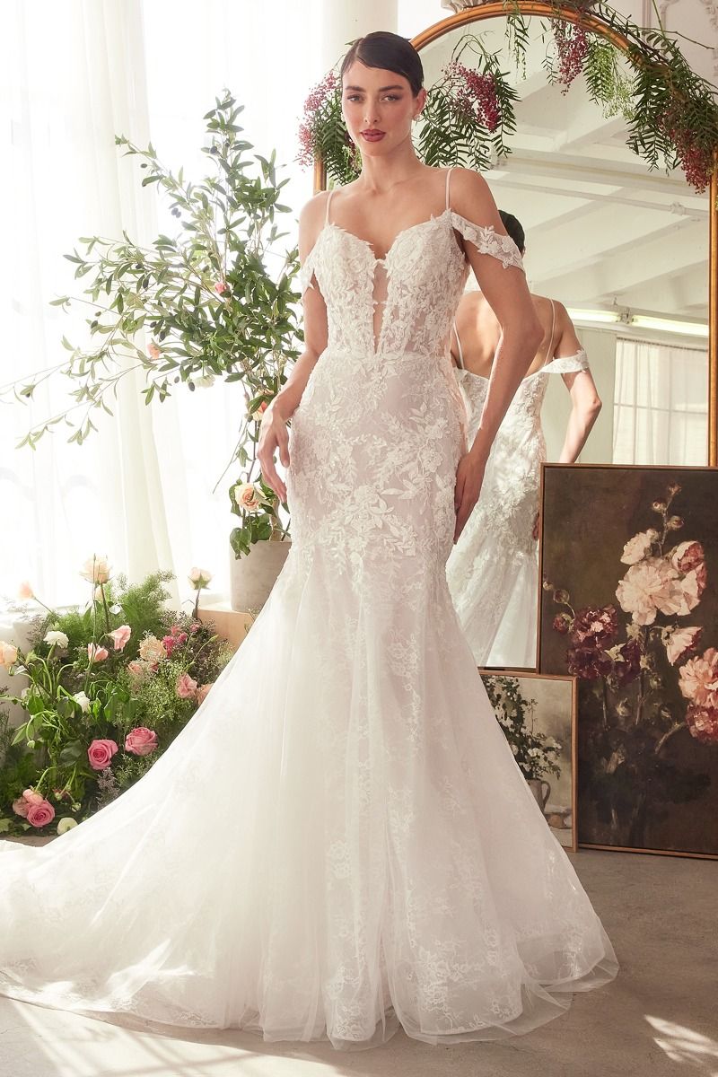 Cassidy Mermaid Wedding Dress - WL051