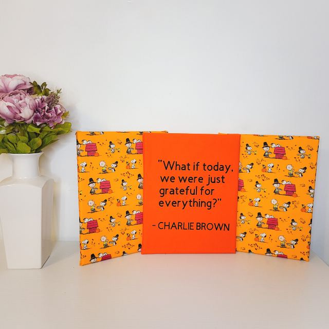 Charlie Brown Thanksgiving - 3 Piece Wall Art
